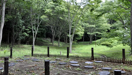 散骨場